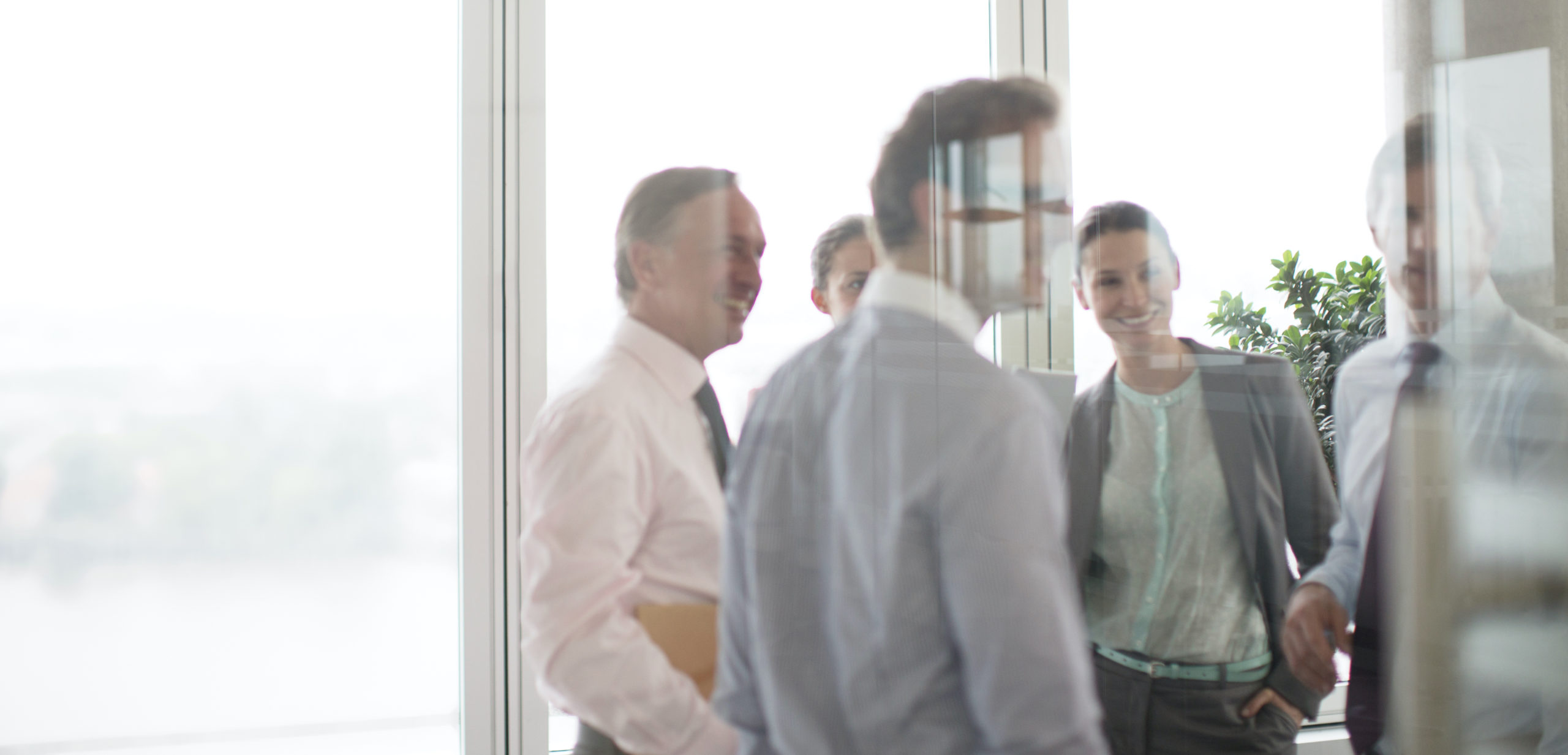 risk manager jobs in florida risk manager jobs in florida